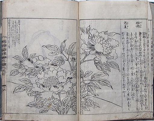 #008a Page Spread Sample