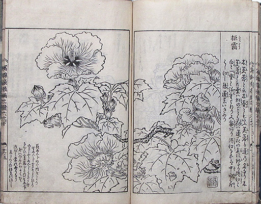 #008d Page Spread Sample