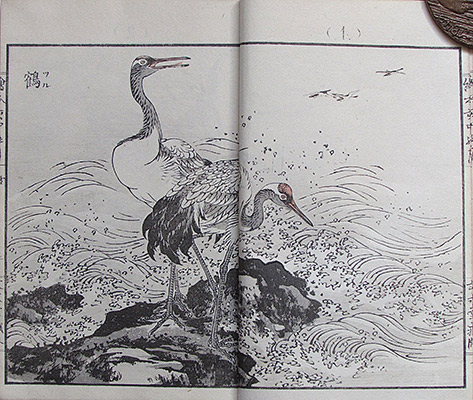 #016b Page Spread Sample