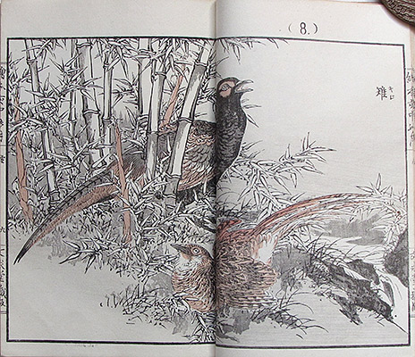 #016c Page Spread Sample