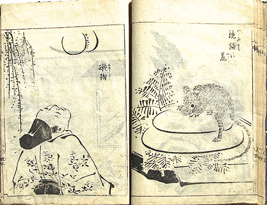 #023e Page Spread Sample