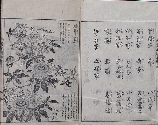 #028b Page Spread Sample