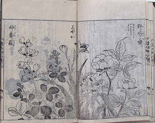 #028c Page Spread Sample
