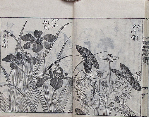 #028f Page Spread Sample