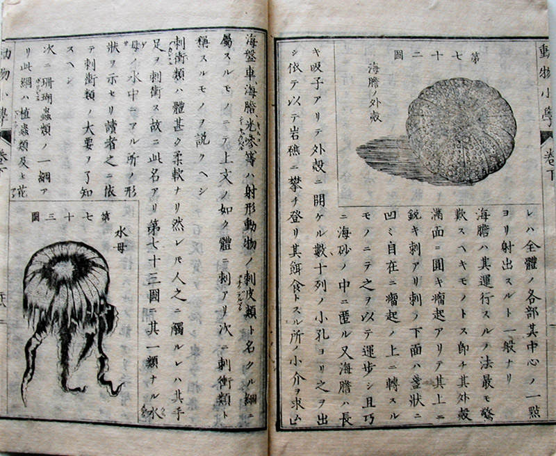 Book #2317C Sample Page Spread