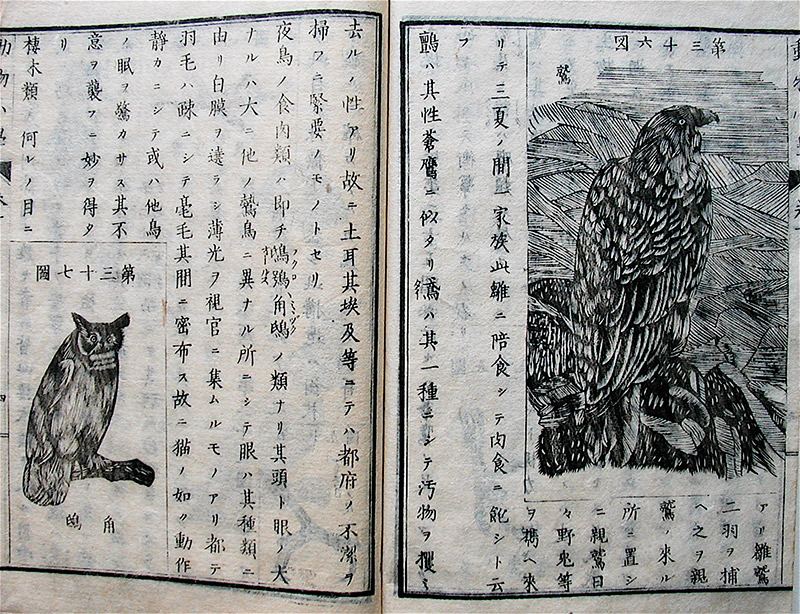 Book #2316C Sample Page Spread